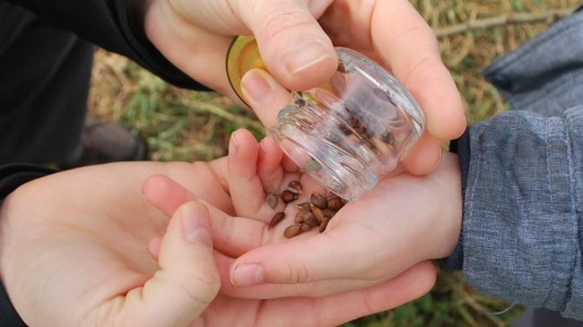 Programme permaculture